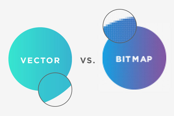 Bitmap cho ảnh chi tiết, Vector cho thiết kế đơn giản