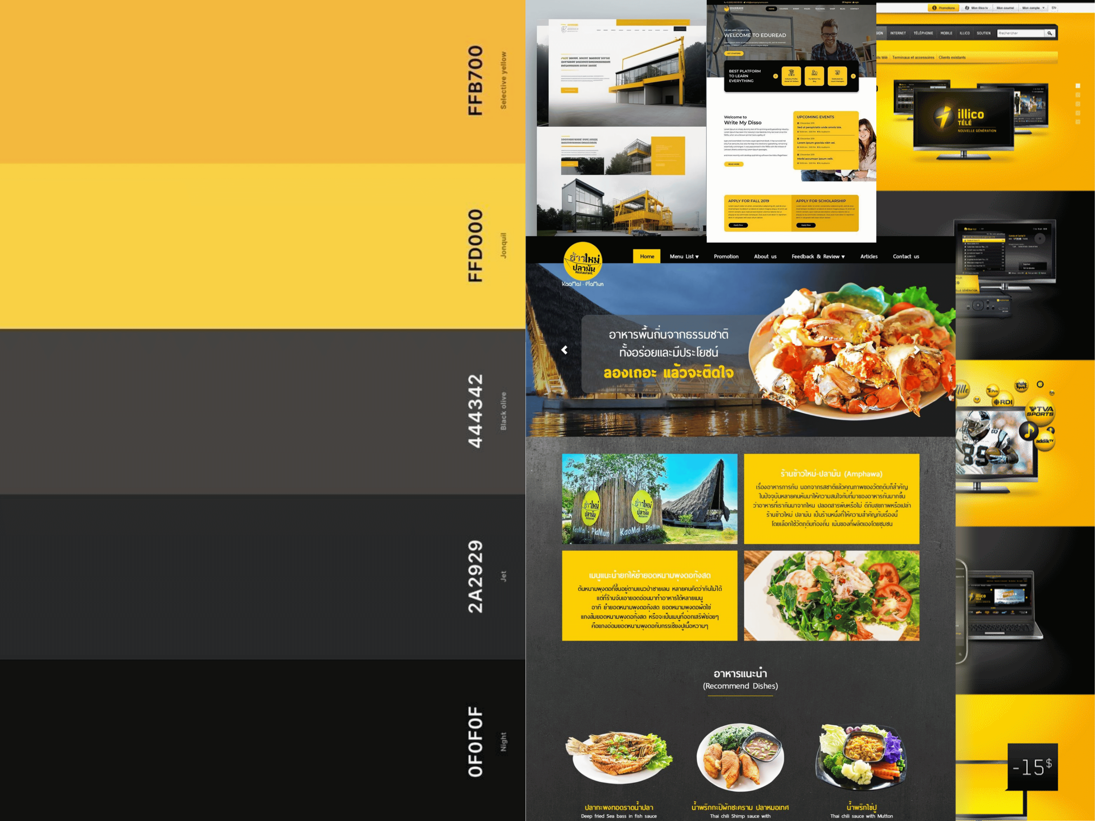 Sự kết hợp giữa vàng nổi bật và đen huyền bí mang đến cảm giác đẳng cấp, quyền lực – lý tưởng cho thương hiệu cao cấp hoặc lĩnh vực xây dựng, thể thao, giải trí.